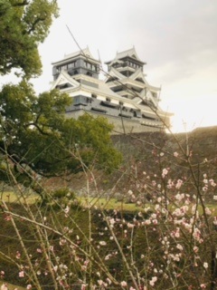 2021年2月1日　熊本城・復興の様子