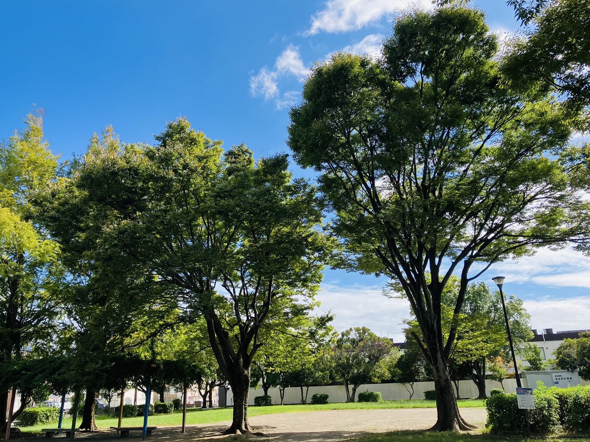 2024年9月28日(土)①オマケ　朝の公園